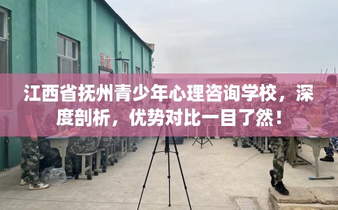 江西省抚州青少年心理咨询学校，深度剖析，优势对比一目了然！