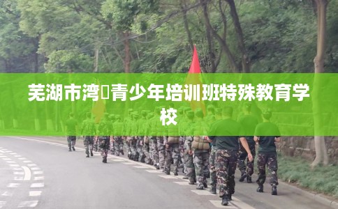 芜湖市湾沚青少年培训班特殊教育学校