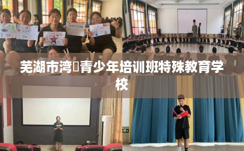 芜湖市湾沚青少年培训班特殊教育学校