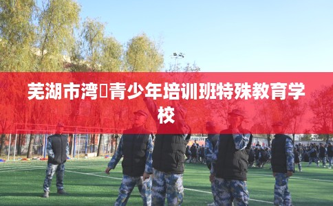 芜湖市湾沚青少年培训班特殊教育学校
