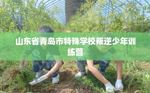山东省青岛市特殊学校叛逆少年训练营 山东省青岛市特殊学校叛逆少年训练营
