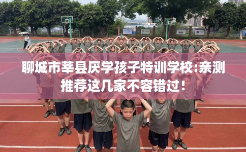 聊城市莘县厌学孩子特训学校:亲测推荐这几家不容错过! 聊城市莘县厌学孩子特训学校:亲测推荐这几家不容错过!