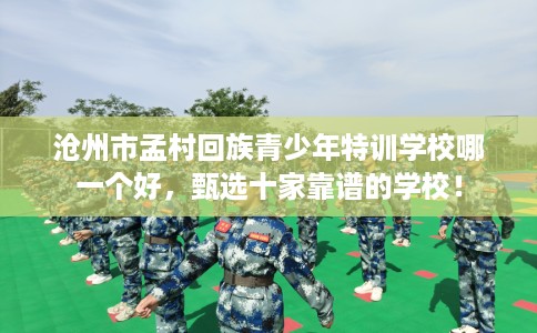 沧州市孟村回族青少年特训学校哪一个好，甄选十家靠谱的学校！