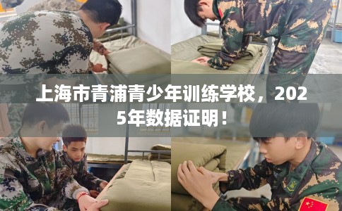 上海市青浦青少年训练学校，2025年数据证明！